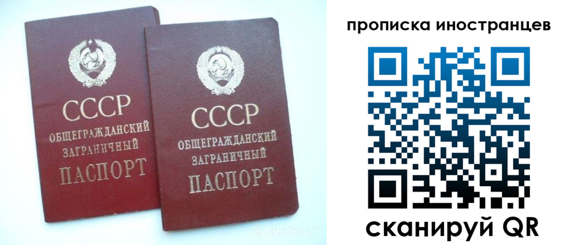 временная регистрация госуслуги в Королёве